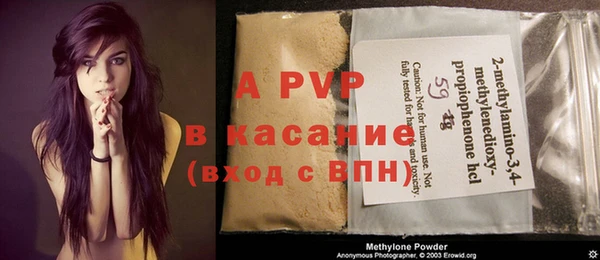spice Карпинск