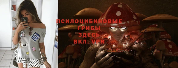 spice Карпинск