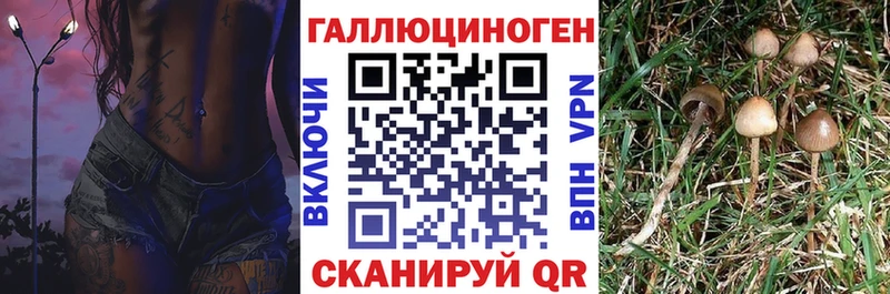 гидра ONION  наркота  Урай  Галлюциногенные грибы Psilocybe 